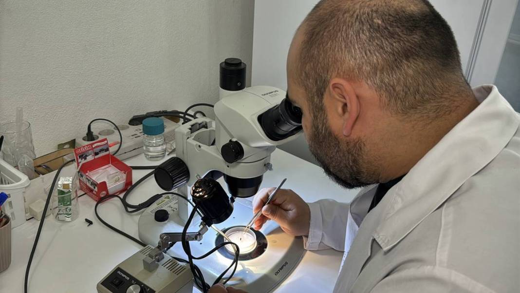 Bu mevsimde kamp yapanlar şimdi yandı: Sayısı hızla artıyor! Uzman isim uyardı, bunun şakası yok 10